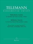 TELEMANN:METHODICAL SONATAS VOL.5