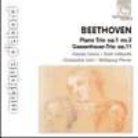 BEETHOVEN:PIANO TRIO OP.1/3