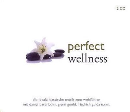 PERFECT WELLNESS 2CD