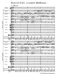 BACH J.S.:MATTHAUS-PASSION/ST.MATTHEW PASSION BWV 244  STUDY SCORE