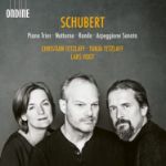 SCHUBERT:PIANO TRIOS,NOTTURNO,RONDO,ARPEGGIONE SONATA/TETZLAFF/VOGT 2CD