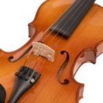 CASCHA violina 4/4 set HH 2050