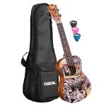 CASCHA Concert Ukulele Urban incl.bag HH 2604