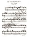 CZERNY:SCHOOL OF VELOCITY OP.299